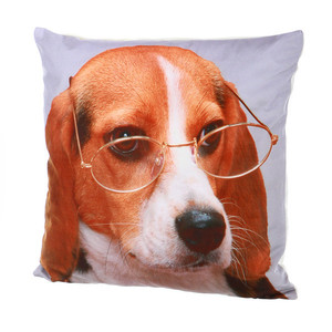 Pěkný polštářek fototisk pes v brýlých Rozměr: 45×45 cm Materiál: 100% polyester